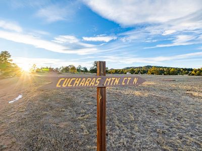 Property at 120 N Cucharas Mountain Ct, Livermore, CO