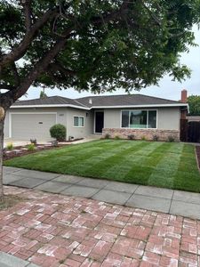 4707 Borina Dr