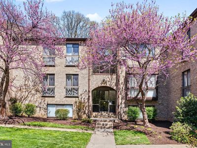 2032 Royal Fern Ct #13/21A
