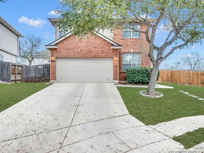 7830 Beechnut Oak