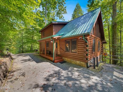 635 Black Bear Falls Way