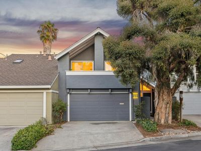 344 Pine Wood Ln