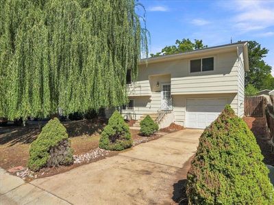 Property at 4420 Julian Ct, Fort Collins, CO
