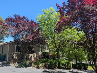 2087 American River Trl