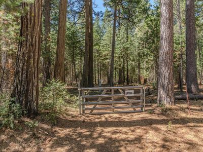 Property at 19375 Cherokee Ln, Volcano, CA