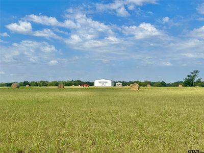 1951 County Road 1157