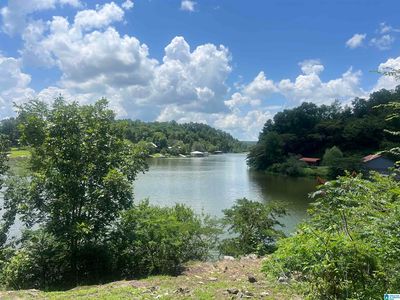58 River Oaks Cir