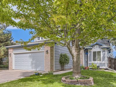 16081 Bluebonnet Drive