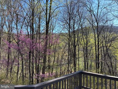 815 Gid Brown Hollow Rd