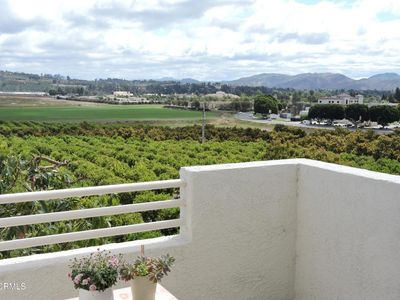 2803 Antonio Dr UNIT 301