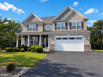 40319 Festoon Ct