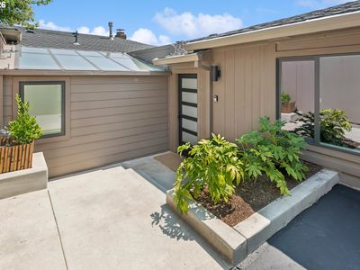 60 Condolea Ter