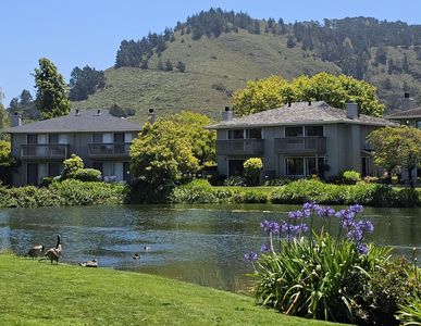 3850 Rio Rd APT 42