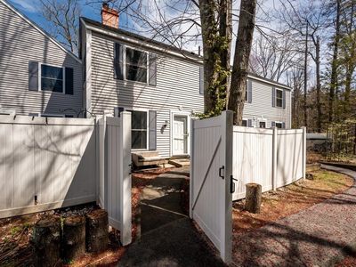 29 Hemlock Forest