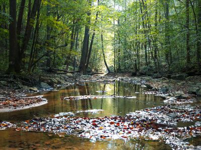 335 Nelson Cemetery Rd