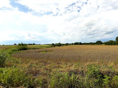 Property at County Road 438, Rising Star, TX
