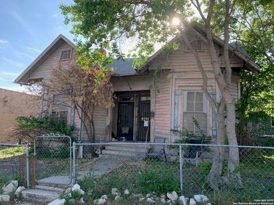 529 pine