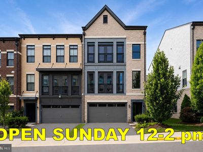 42297 Crawford Ter