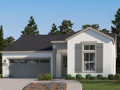 Quill Plan, Marcona Preserve : Calligraphy Series