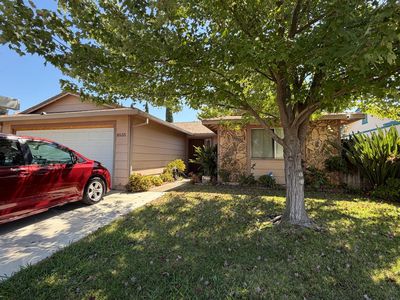 8533 Sunrise Woods Way