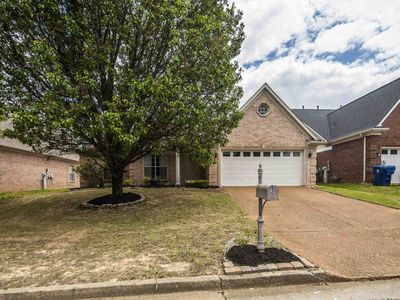 1106 Green Fern Cv