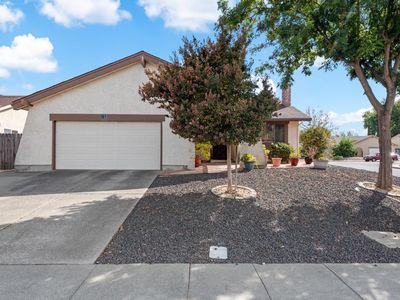 733 Marigold Drive