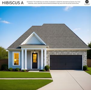 Hibiscus A Plan, Cheval Point