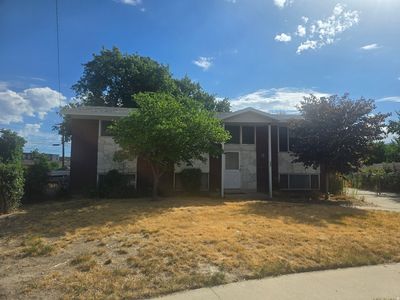 247 E Nicoletti Dr