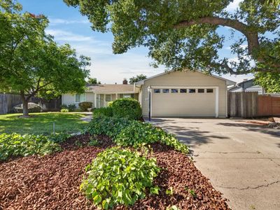 4549 Lippi Pkwy