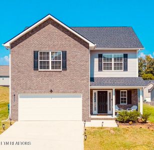 11317 Flame Willow Ln
