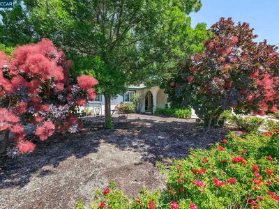 2259 Shasta Ct
