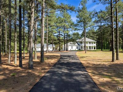 50 Grand Mesa
