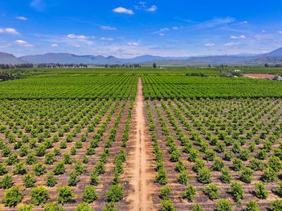 23496 E Lincoln Avenue