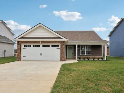 146 Irish Hls LOT 146