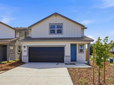 1001 Ginkgo Cir