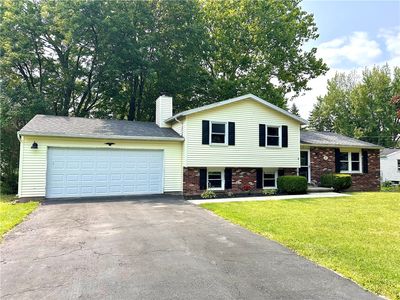 17 Shelly Rd