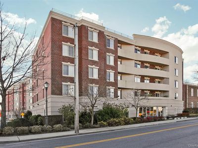 242 Maple Avenue #419