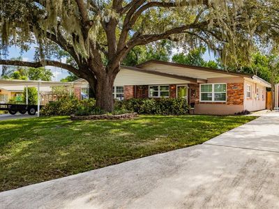 1205 W CAMELLIA DRIVE