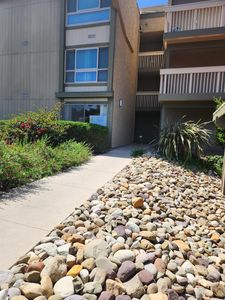 324 Chestnut Hill Ct APT 11