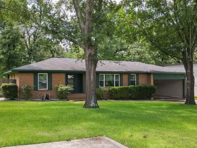 107 Bluebird St