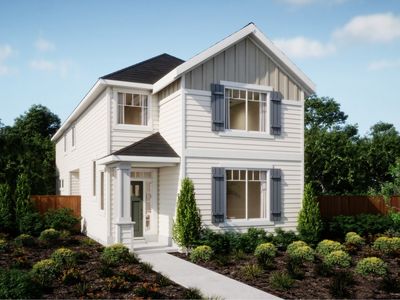 Conifer Plan, Butternut Creek : The Forrest Collection