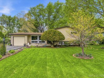 29W454 Ray Ave