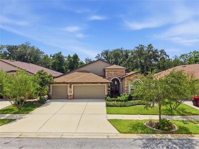 12725 FLATWOOD CREEK DRIVE