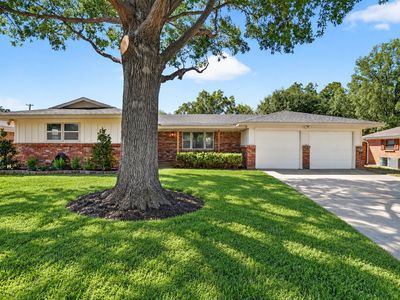 429 Fieldwood Ter