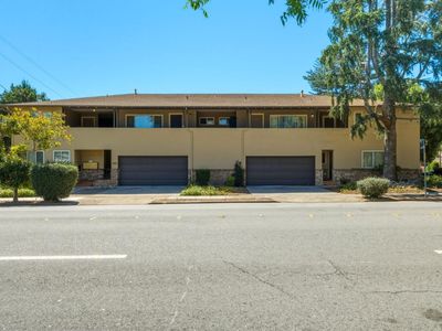 Whipple Redwoodcity