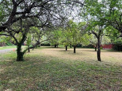 236 & 240 Orchard Way