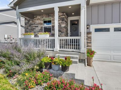 Property at 4664 Cattle Cross Trail, Castle Rock, CO
