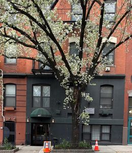 407 W 40th Street #4B