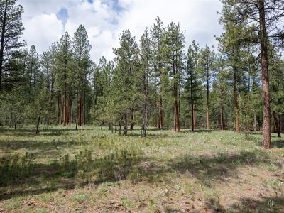 Property at 5508 Trenk Way, Florence, MT