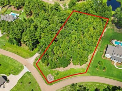 Green Trace Cv Lot 18